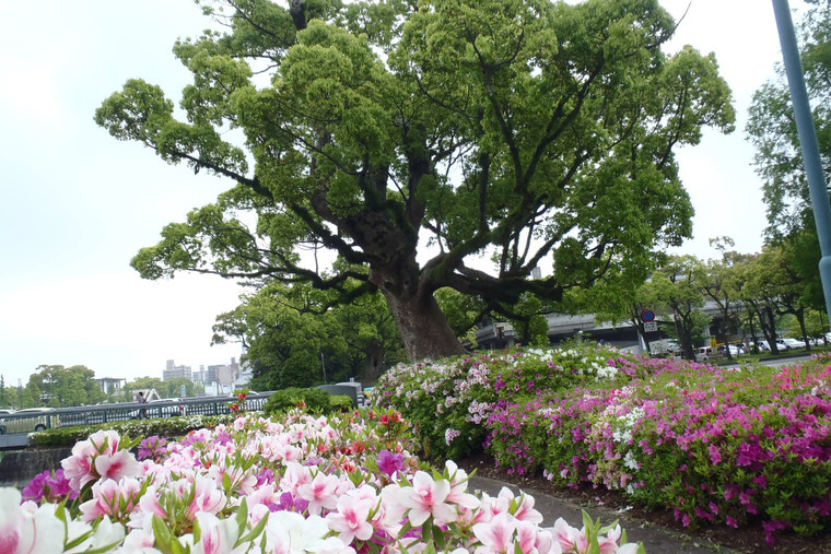 公園概要
