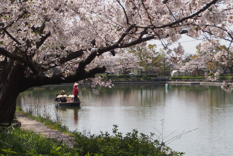 公園概要