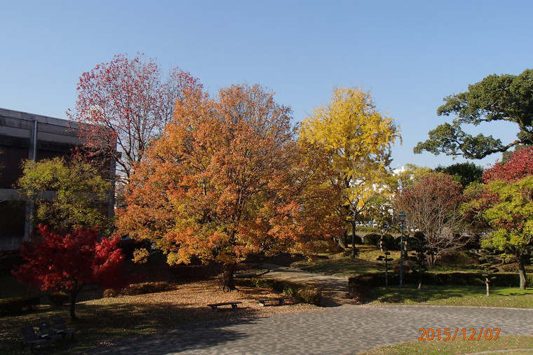 公園概要